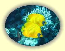 IMG_2007_05_29 14_28_35 * 3072 x 2304 * (712KB)